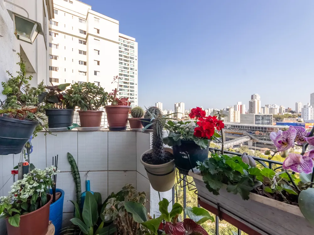 Apartamento, 3 quartos - Foto 12