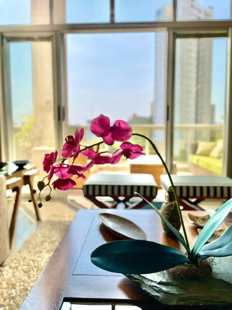 Apartamento, 2 quartos - Foto 4