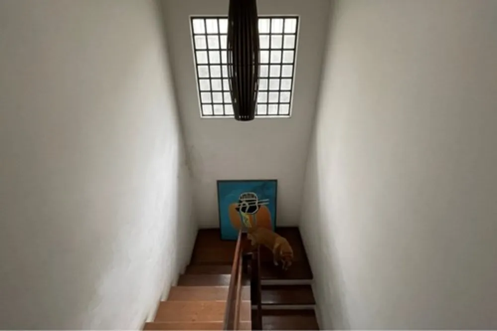 Casa, 4 quartos, 224 m² - Foto 5