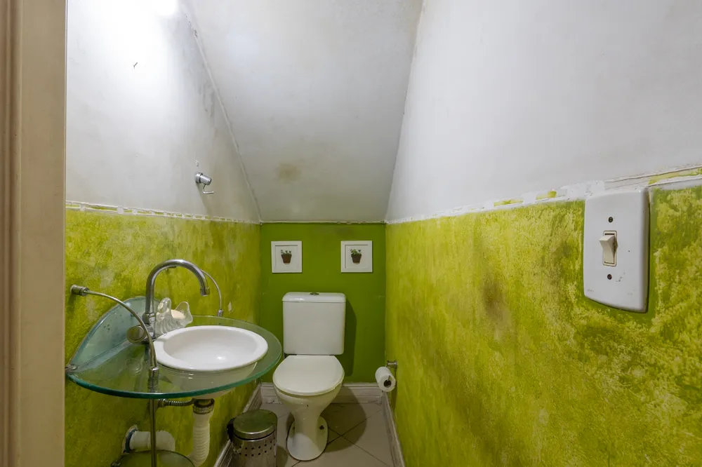 Casa, 3 quartos, 136 m² - Foto 6