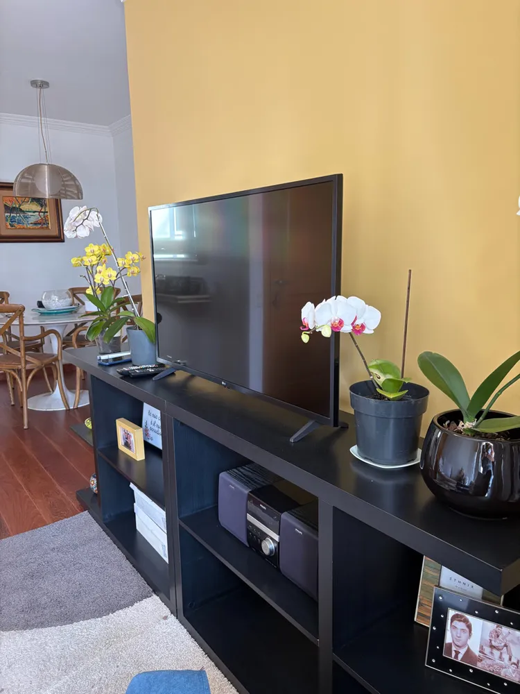 Apartamento, 3 quartos - Foto 10
