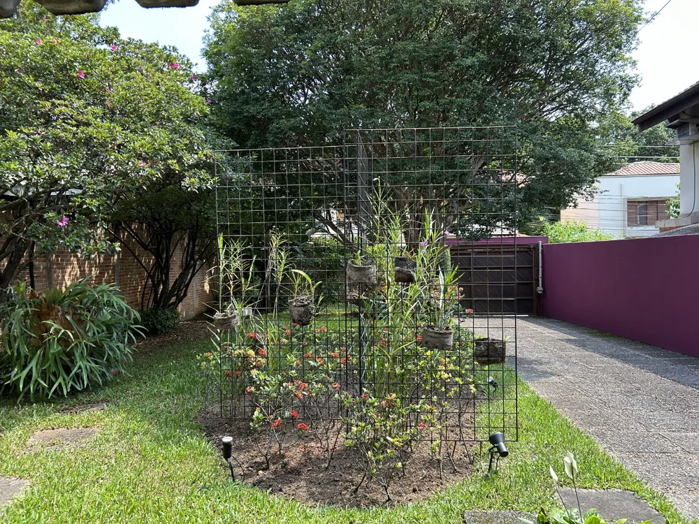 Casa, 3 quartos, 443 m² - Foto 1