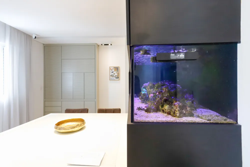 Apartamento, 3 quartos, 13173 m² - Foto 11