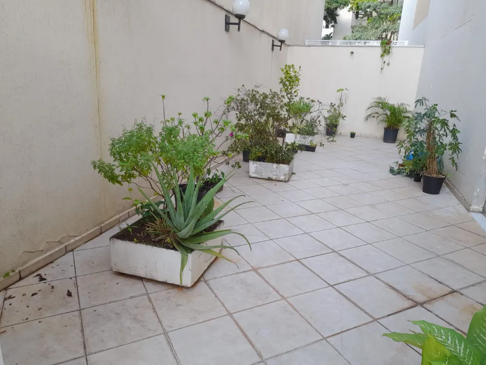 Apartamento, 3 quartos - Foto 1