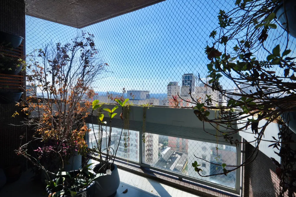 Apartamento, 3 quartos - Foto 3
