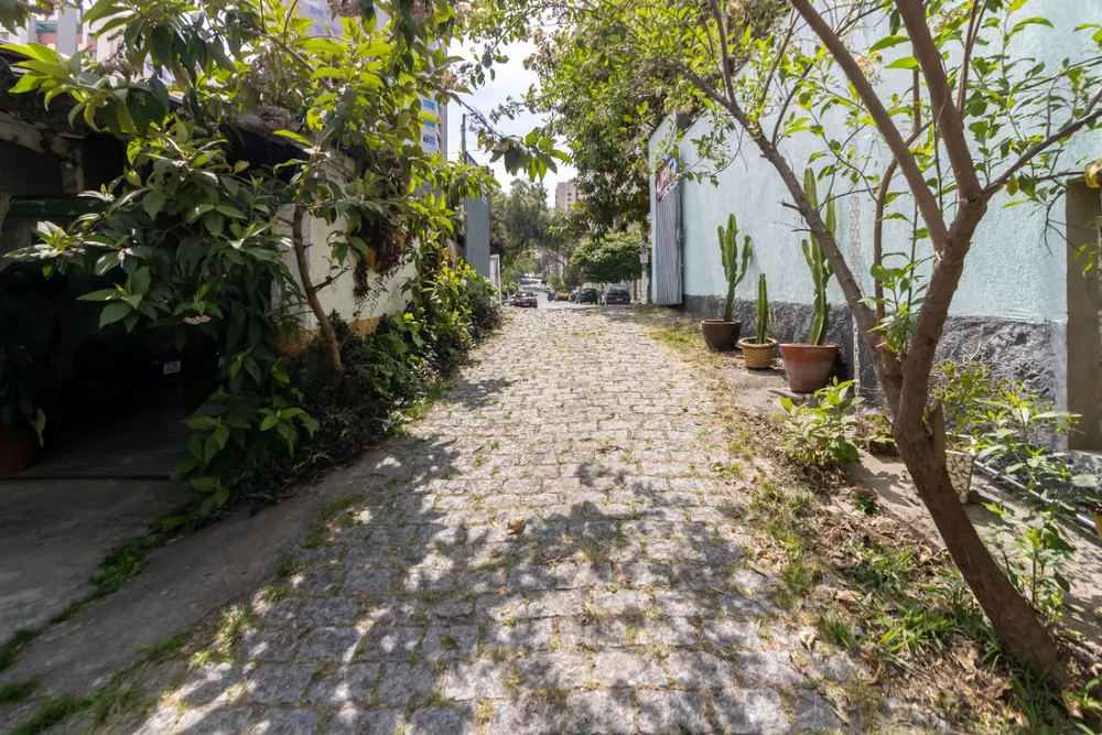Terreno, 650 m² - Foto 3