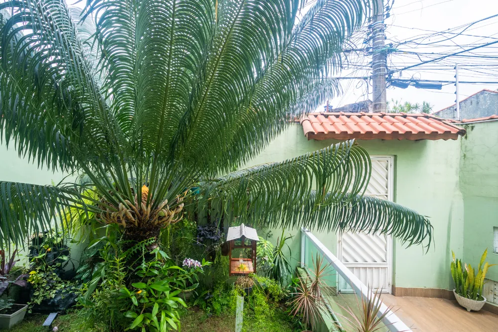 Sobrado, 4 quartos, 250 m² - Foto 7