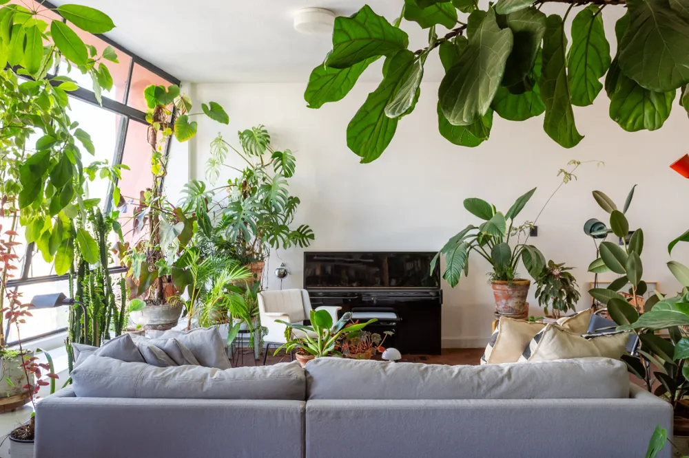 Apartamento, 2 quartos - Foto 7