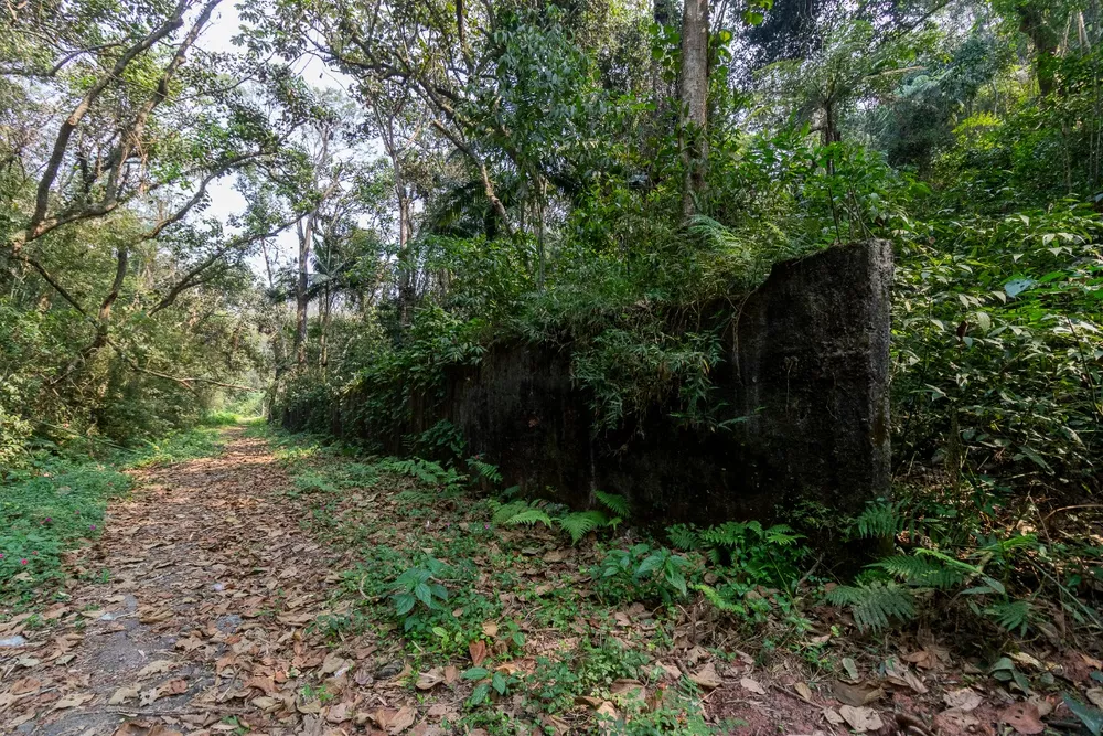 Terreno à venda - Foto 1