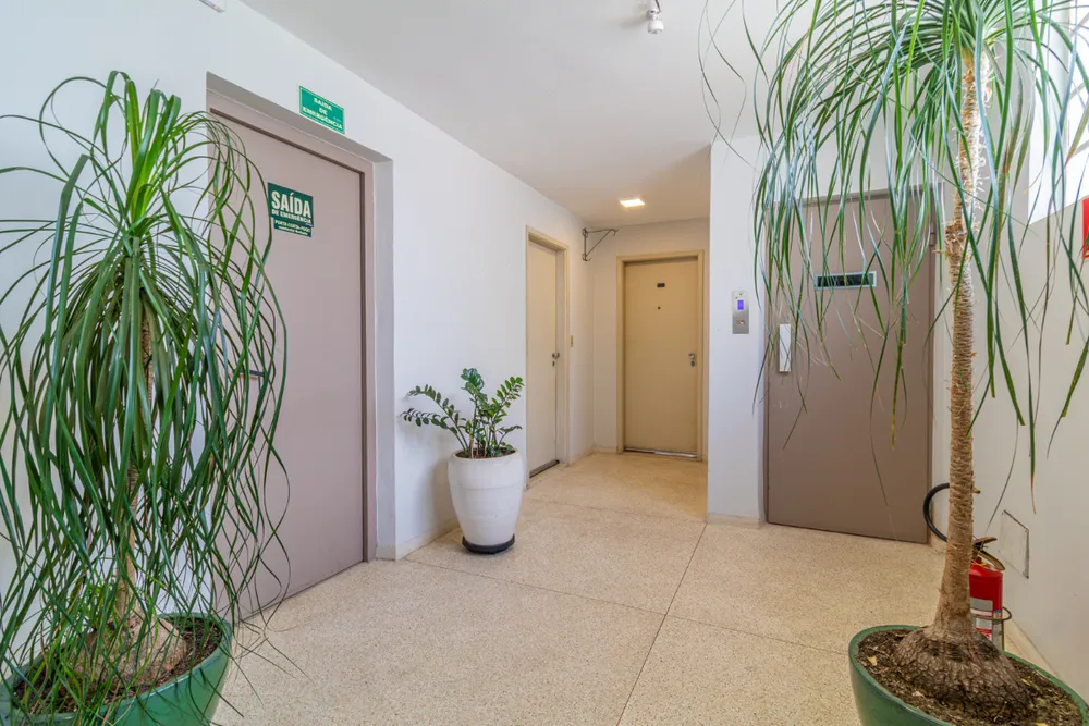 Apartamento, 3 quartos, 910 m² - Foto 2