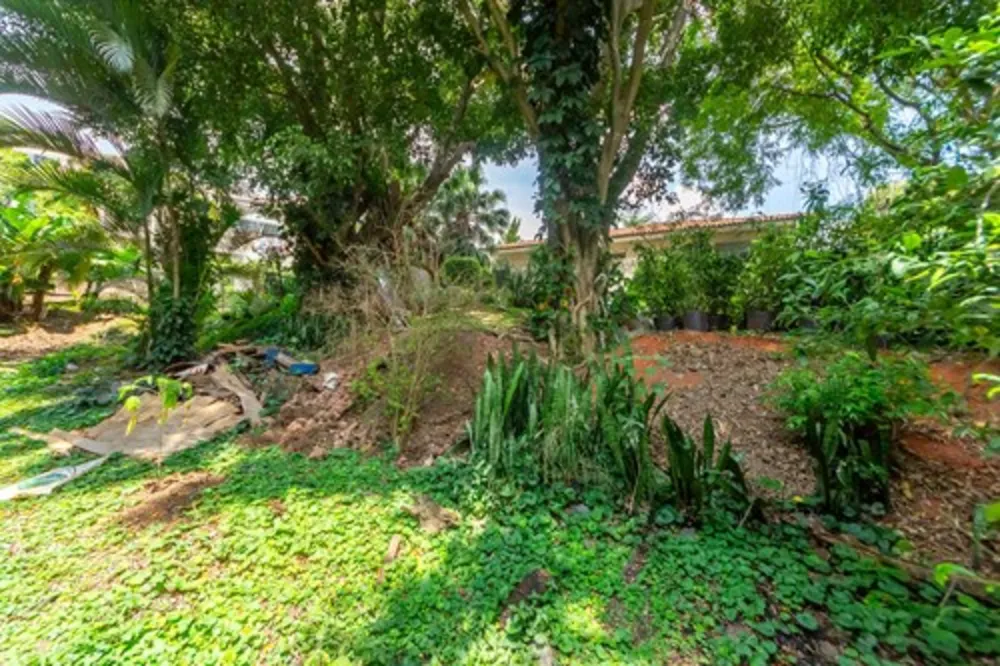 Terreno, 780 m² - Foto 8
