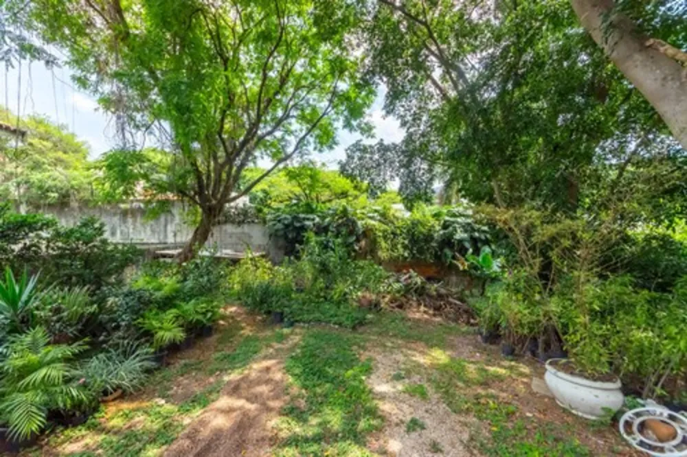 Terreno, 780 m² - Foto 12