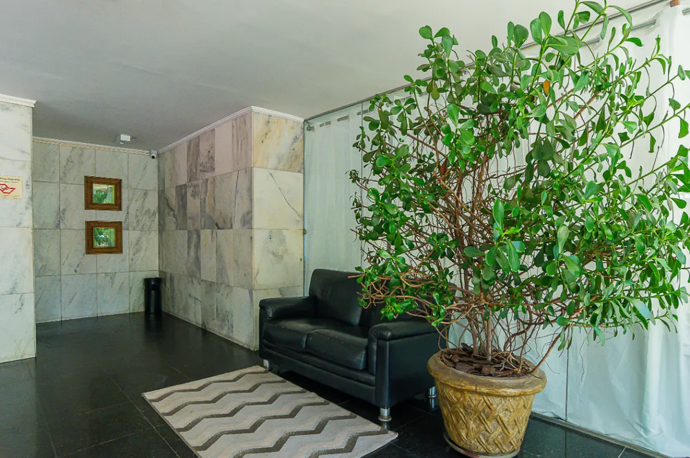 Apartamento, 3 quartos - Foto 3