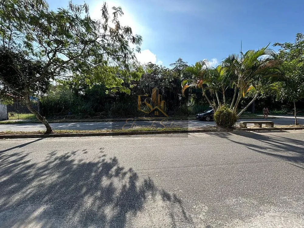 Terreno, 380 m² - Foto 5
