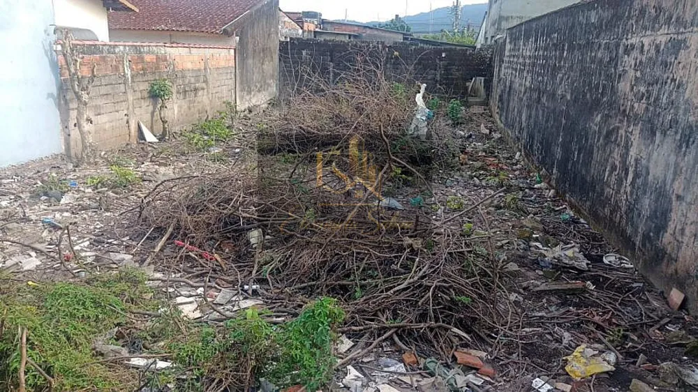 Terreno, 250 m² - Foto 7