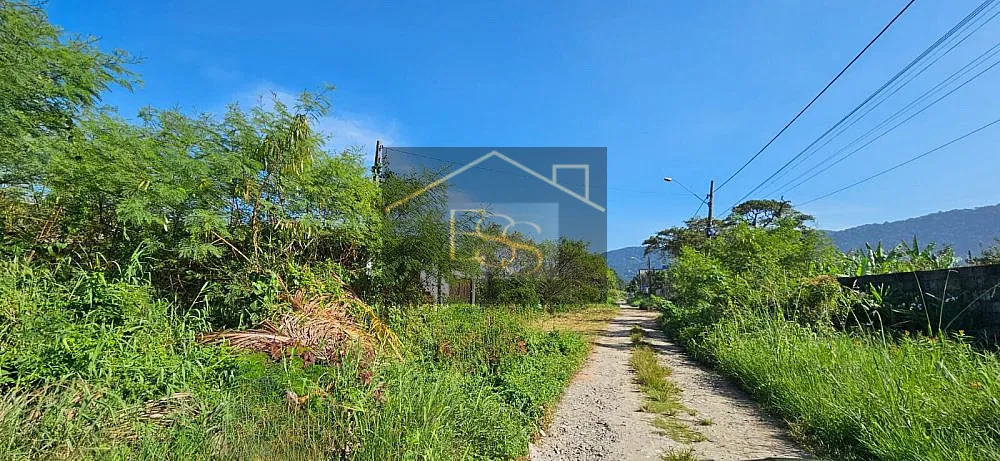 Terreno, 250 m² - Foto 3
