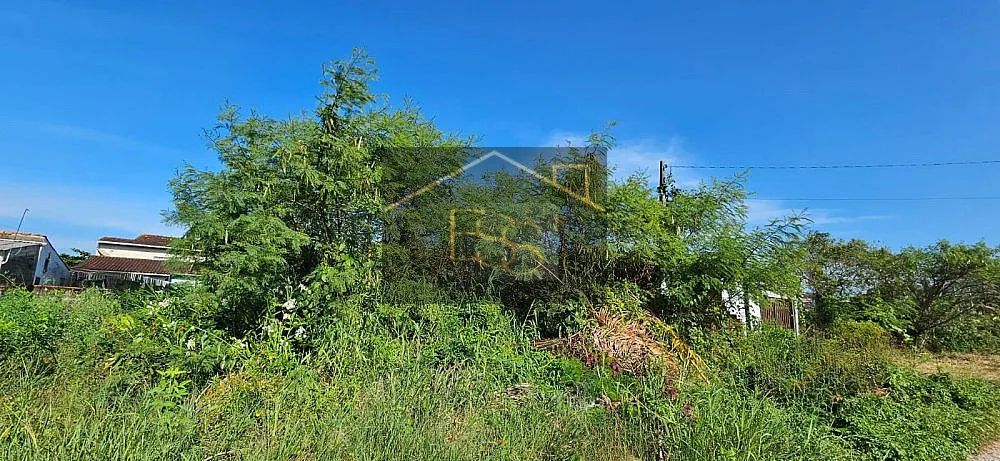Terreno, 250 m² - Foto 1