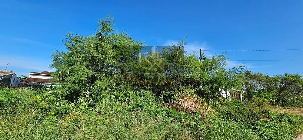 Terreno, 250 m² - Foto 4