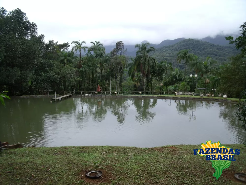 Chácara, 3 quartos, 6110 m² - Foto 10