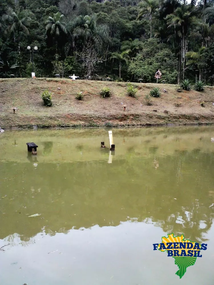 Fazenda à venda com 3 quartos, 6110m² - Foto 8