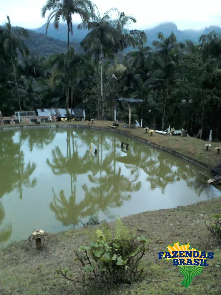 Fazenda à venda com 3 quartos, 6110m² - Foto 5