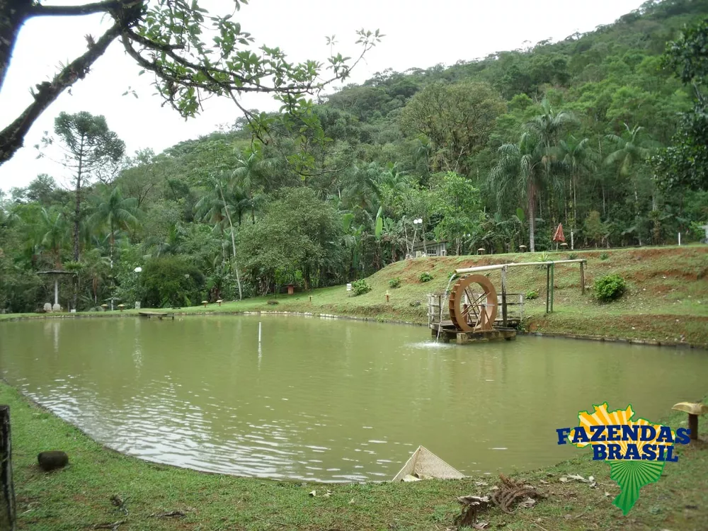 Fazenda à venda com 3 quartos, 6110m² - Foto 2