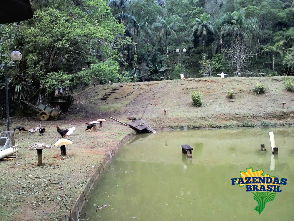 Fazenda à venda com 3 quartos, 6110m² - Foto 1