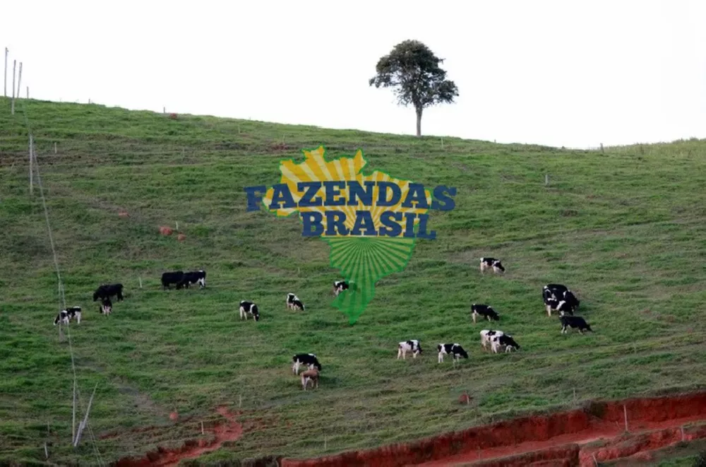 Fazenda, 101 m² - Foto 10