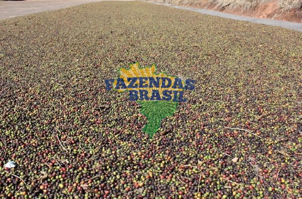 Fazenda, 101 m² - Foto 12