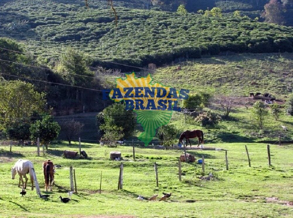 Fazenda, 101 m² - Foto 11