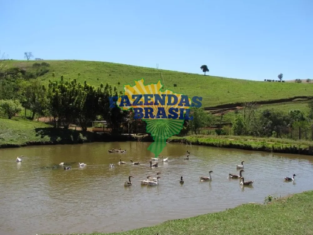 Fazenda, 101 m² - Foto 4