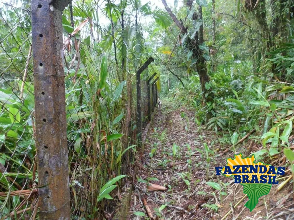 Fazenda à venda com 1 quarto, 6161m² - Foto 1