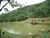Chácara, 2 quartos, 1 hectares - Foto 1