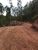 Fazenda, 60 hectares - Foto 6