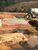 Fazenda, 60 hectares - Foto 30