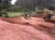 Fazenda, 60 hectares - Foto 12