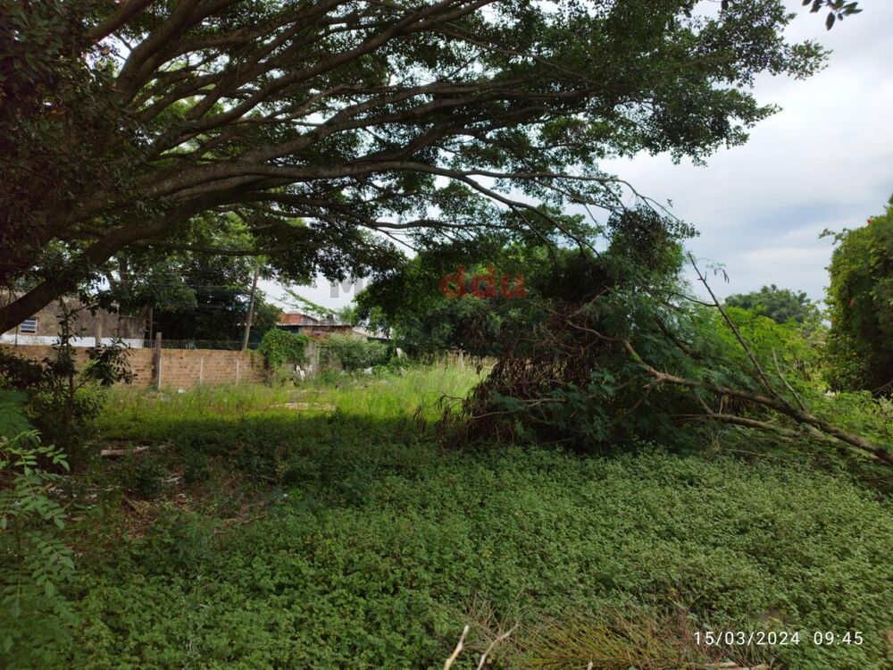 Terreno, 3120 m² - Foto 3
