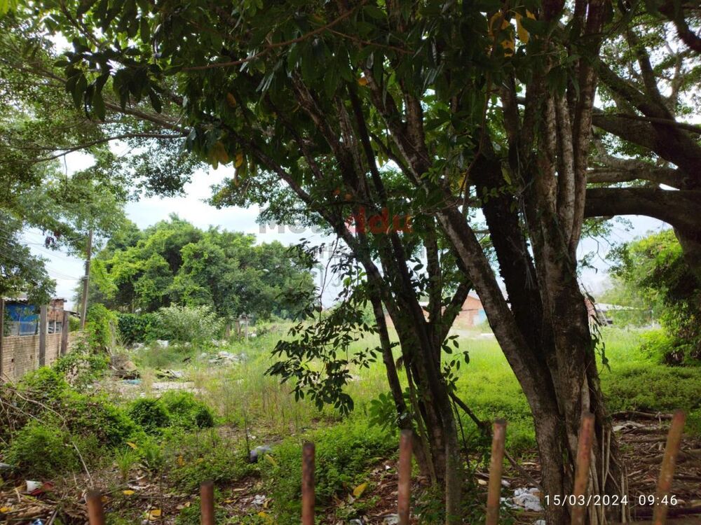 Terreno, 3120 m² - Foto 6