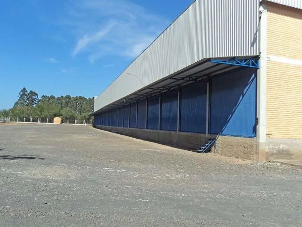 Depósito-Galpão, 12000 m² - Foto 6