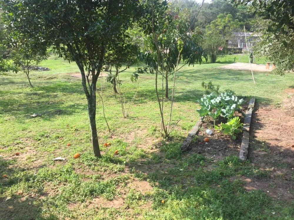 Chácara, 2 quartos, 2450 m² - Foto 5