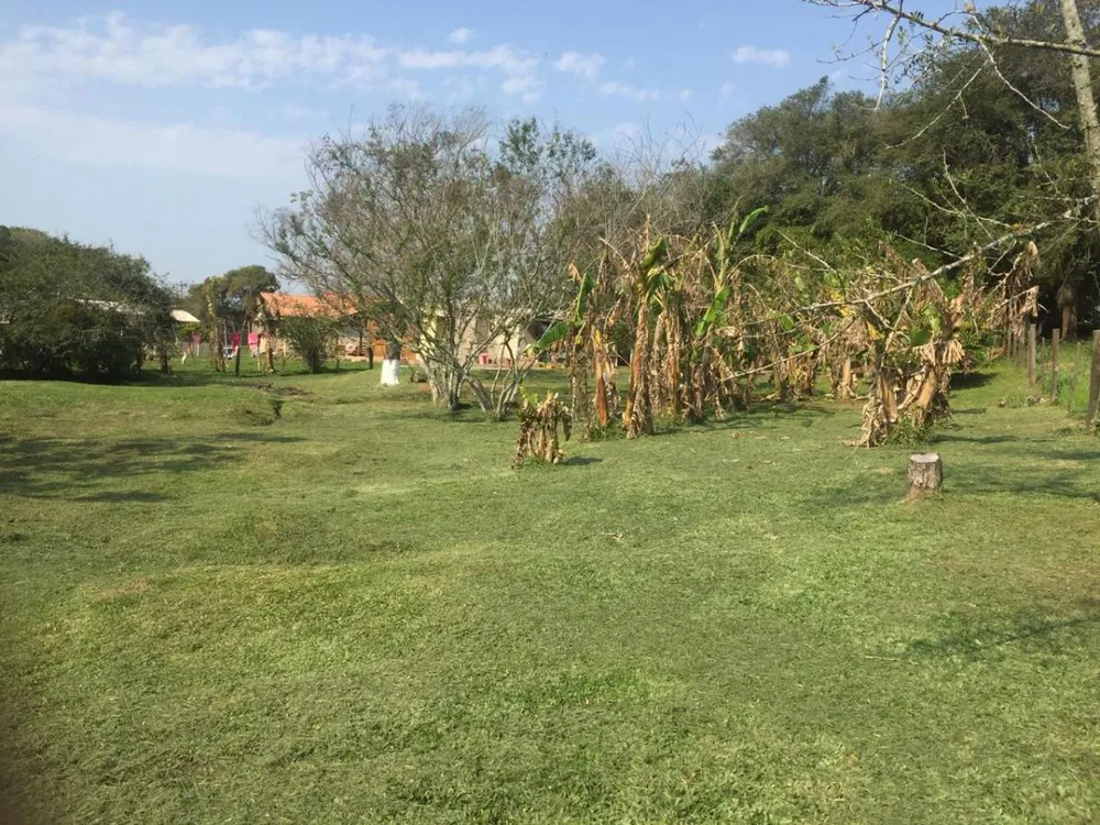 Chácara, 2 quartos, 2450 m² - Foto 6