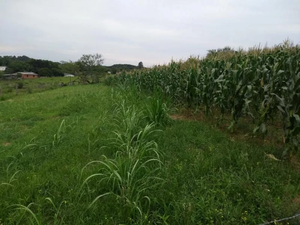 Chácara à venda, 35000m² - Foto 5