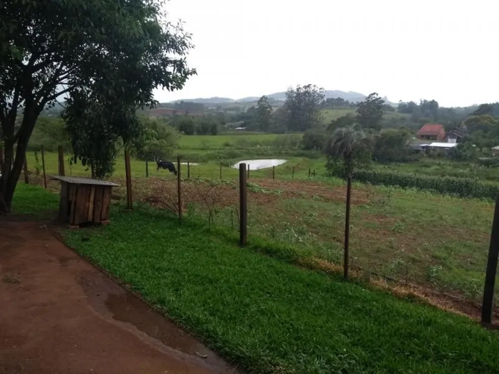 Sítio, 4 hectares - Foto 18