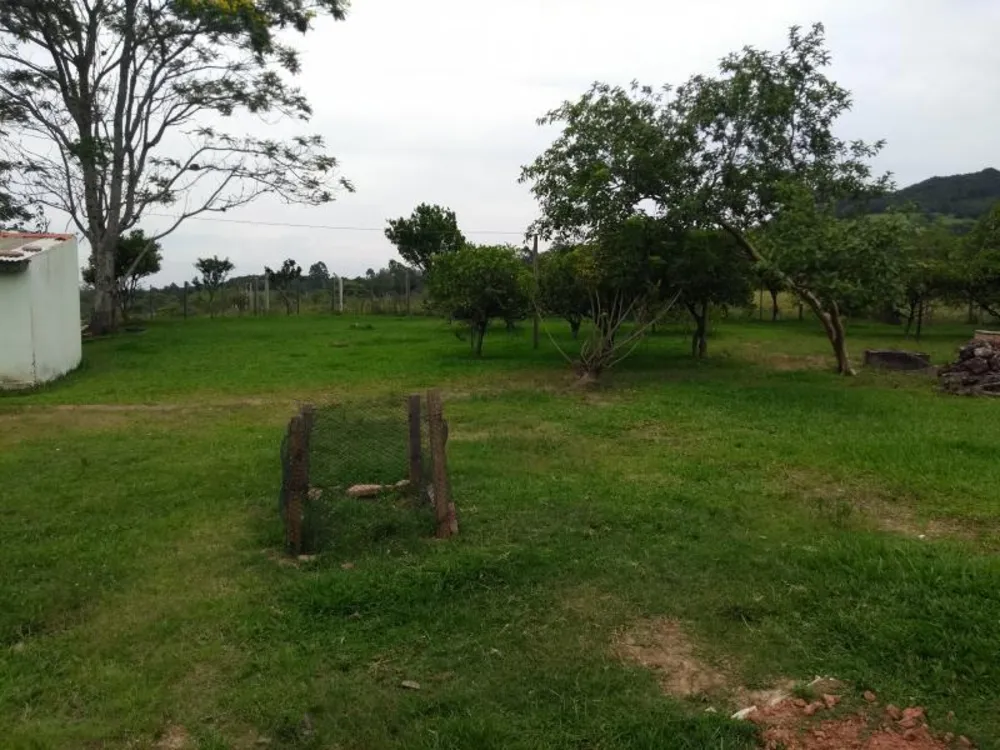 Sítio, 4 hectares - Foto 18