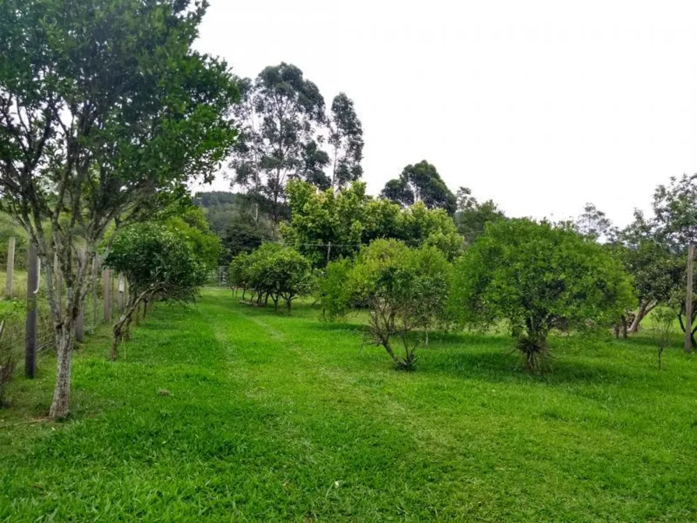 Sítio, 4 hectares - Foto 20