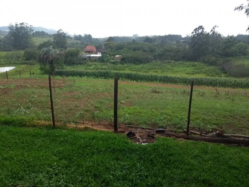 Sítio, 4 hectares - Foto 24