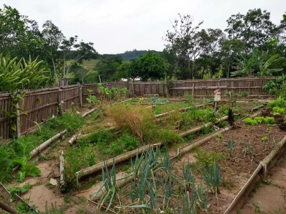 Sítio, 4 hectares - Foto 13