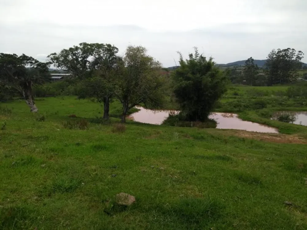 Sítio, 4 hectares - Foto 15