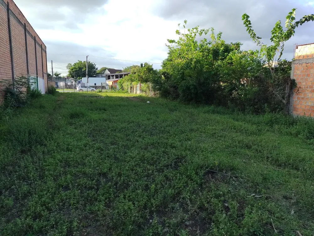 Terreno, 810 m² - Foto 8