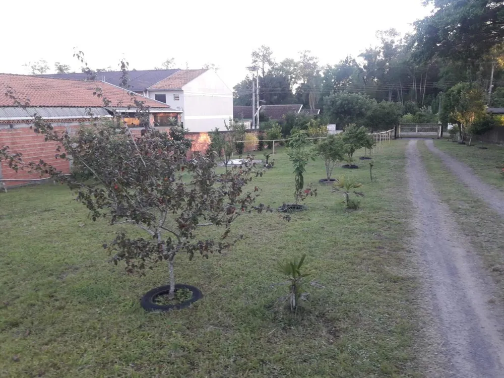 Sítio, 1850 m² - Foto 6
